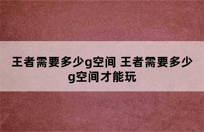 王者需要多少g空间 王者需要多少g空间才能玩